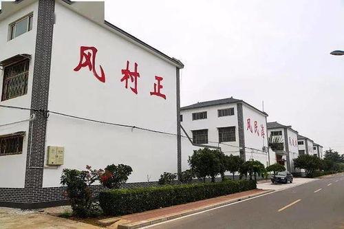 安阳头条今日爆料,揭秘今日热点事件背后的真相